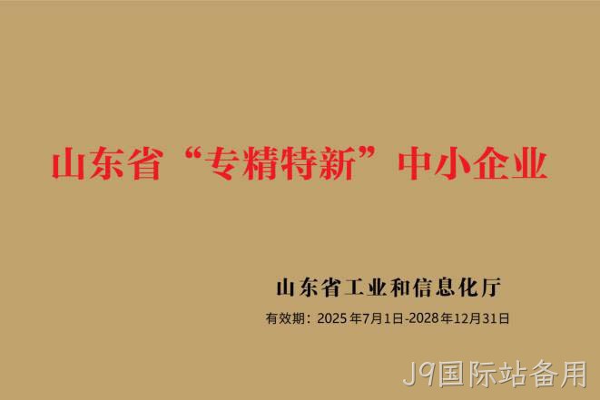 山东省专精特新中小企业.